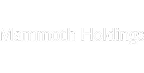 Mammoth Holdings